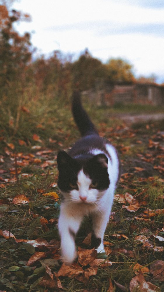 Photograph by Олег Мухачев