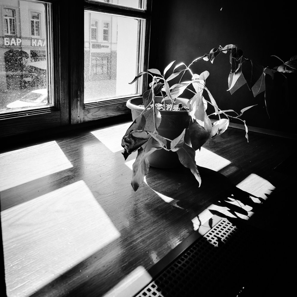 Photograph by Аля Кнастер