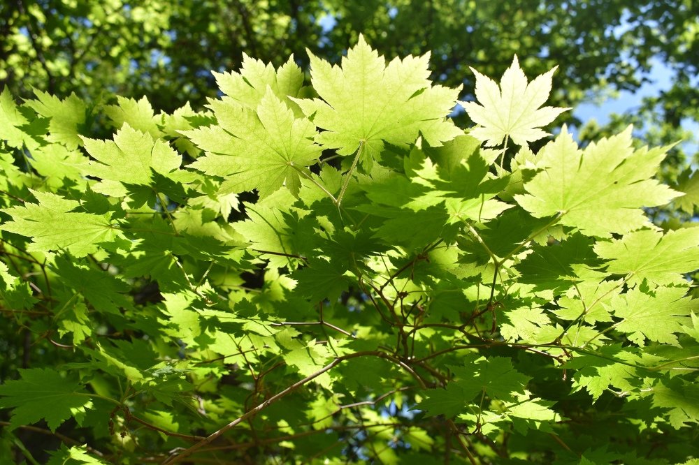 Photograph by Светлана Титова