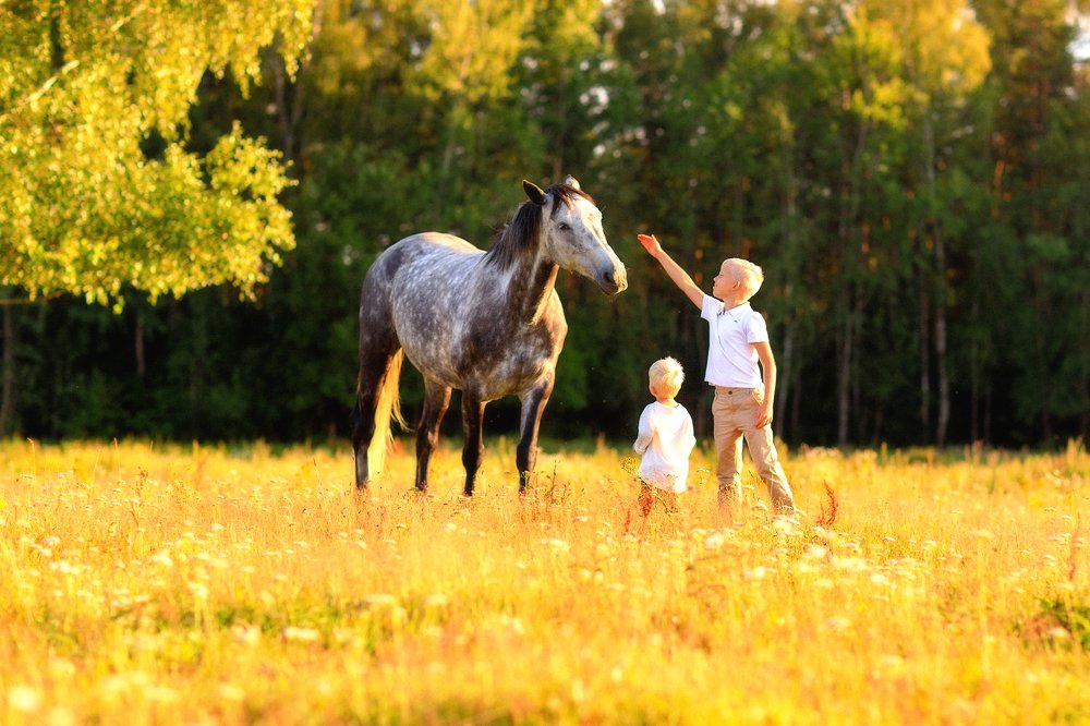 Photograph by Ника Егорова