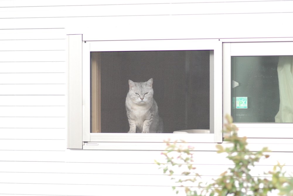 Photograph by Inoue Tomohiro