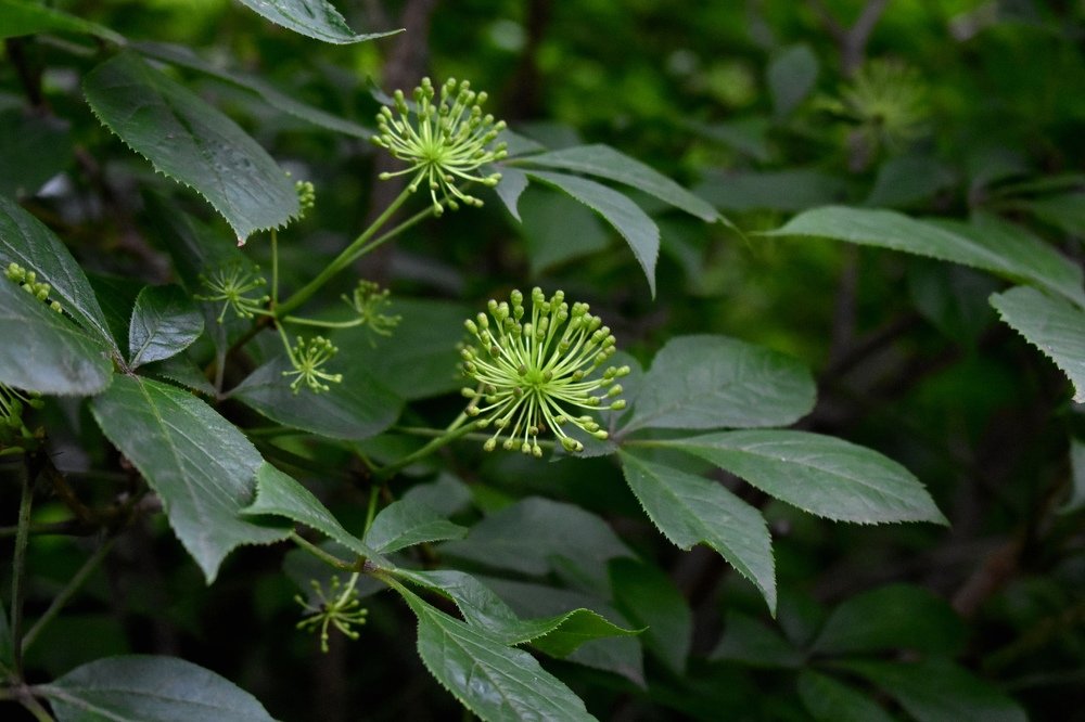 Photograph by Светлана Титова