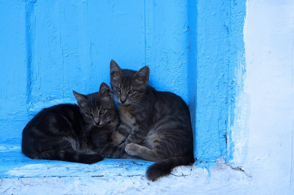 Photograph by ILKNUR BALTACI