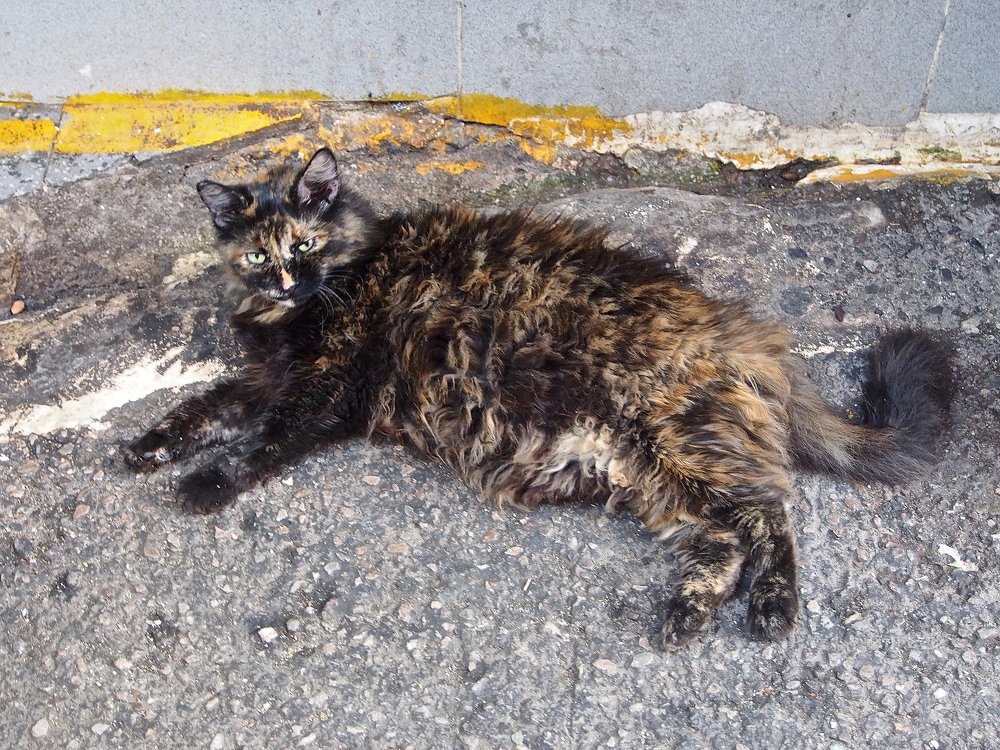 Photograph by ILKNUR BALTACI