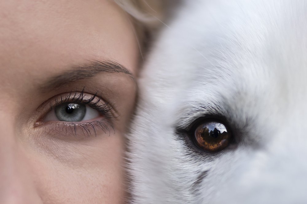 Photograph by Karina Saarestik