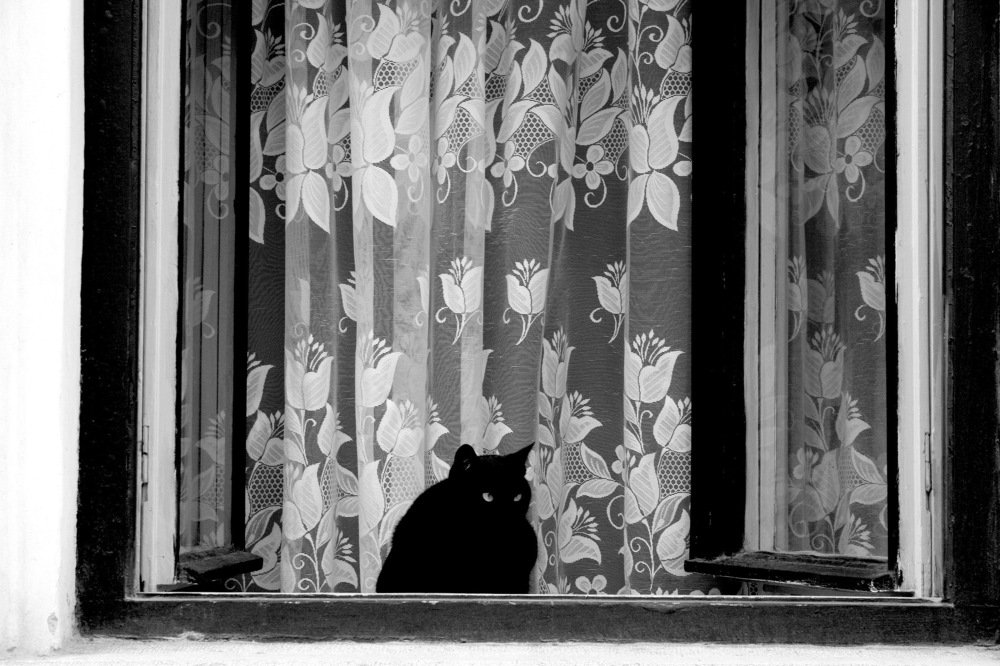 Photograph by ILKNUR BALTACI