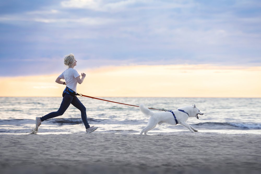 Photograph by Karina Saarestik