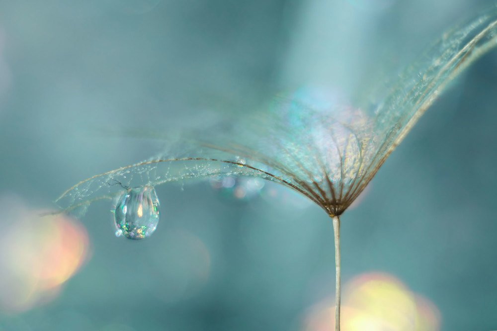 Photograph by Аксана Чалова