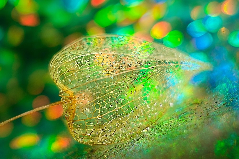 Photograph by Аксана Чалова