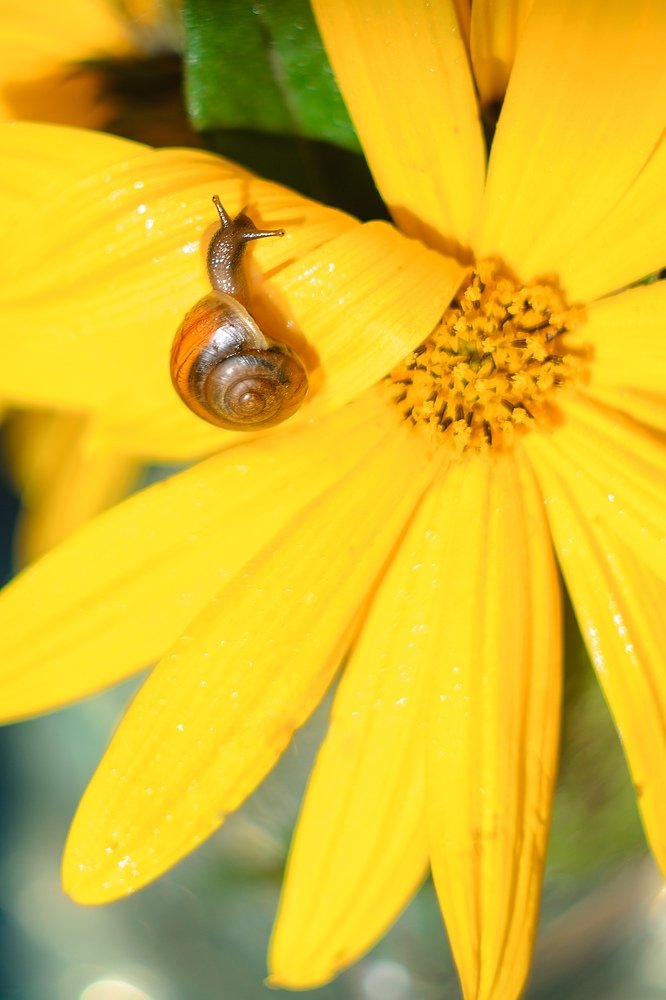 Photograph by Аксана Чалова