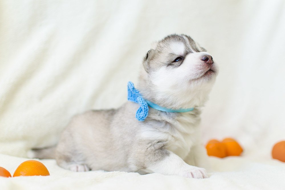 Photograph by Аксана Чалова