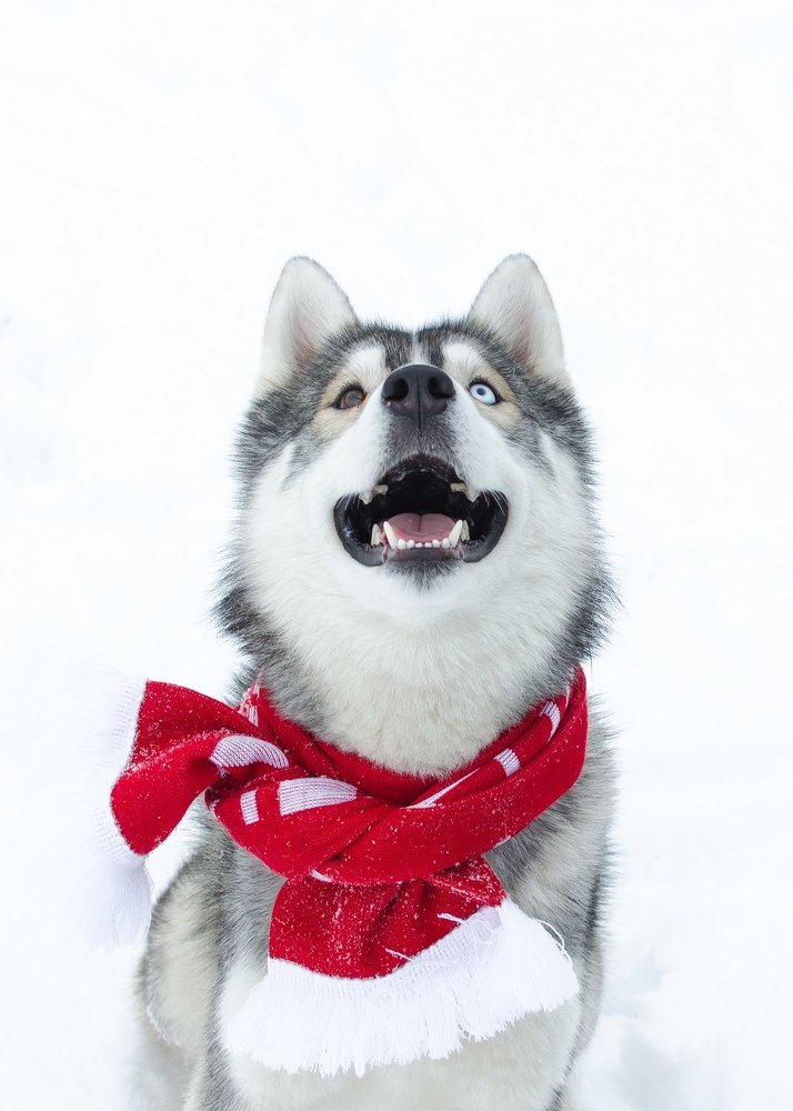 Photograph by Аксана Чалова