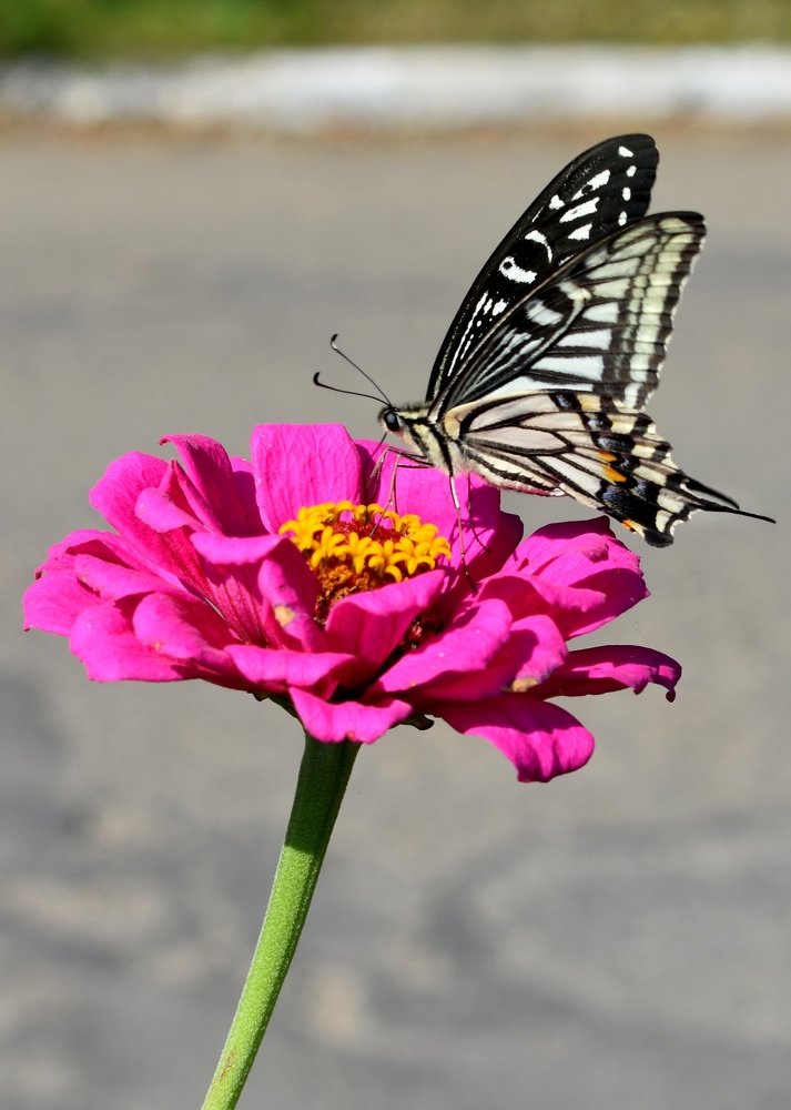 Photograph by Светлана Титова