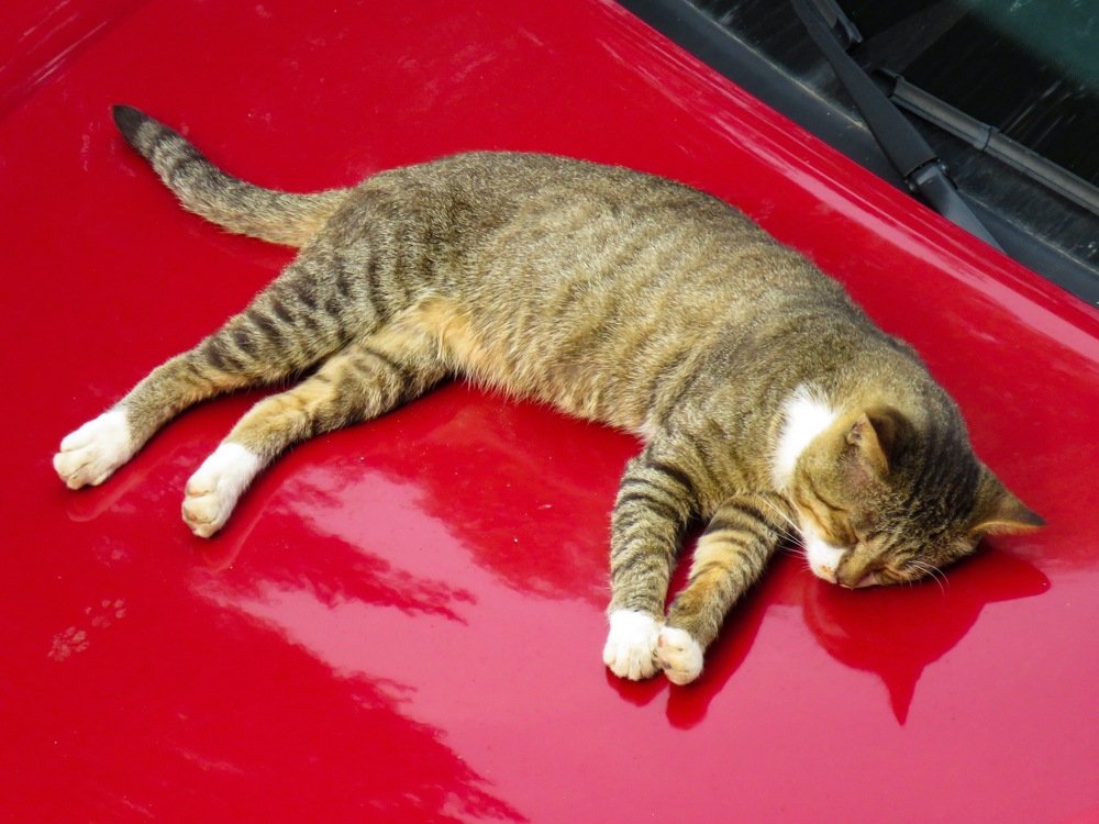 Photograph by Анастасия Романова