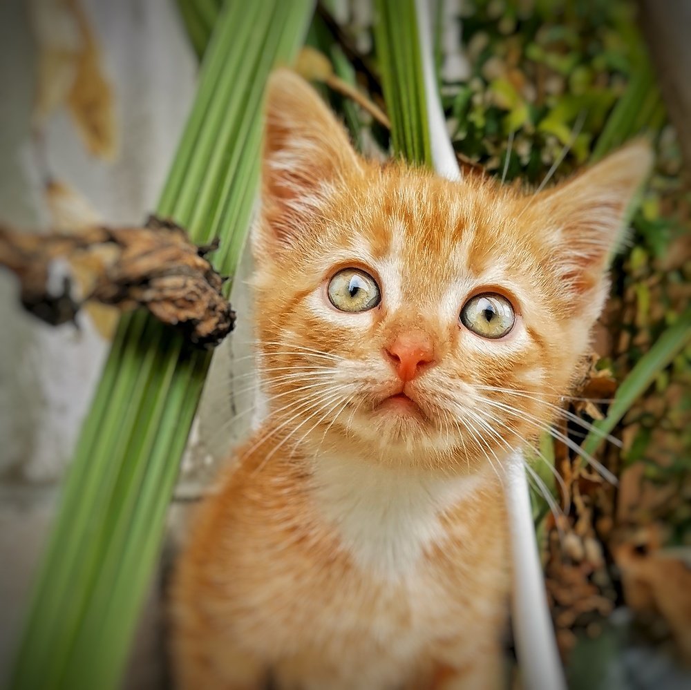 Photograph by Валерия Афонасьева