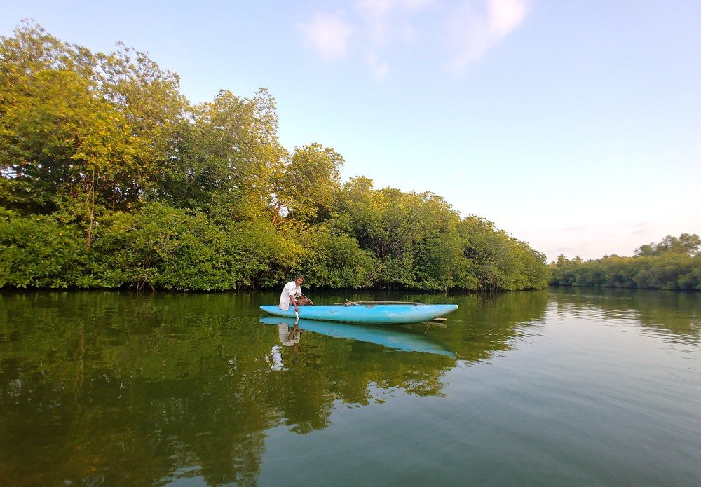 Photograph by Elena Chandran