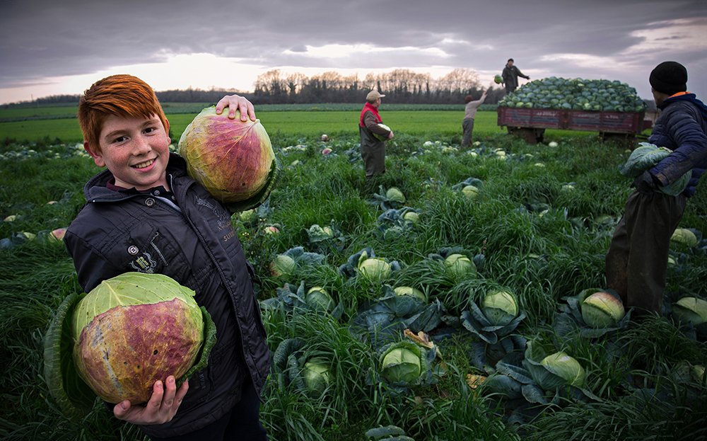 Photograph by Ramazan Yıldırım