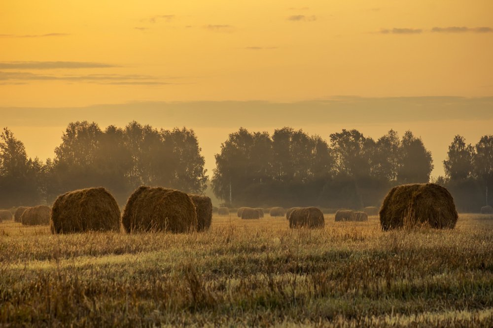 Photograph by Сергей Кочетов