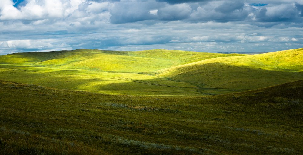 Photograph by Сергей Андреев