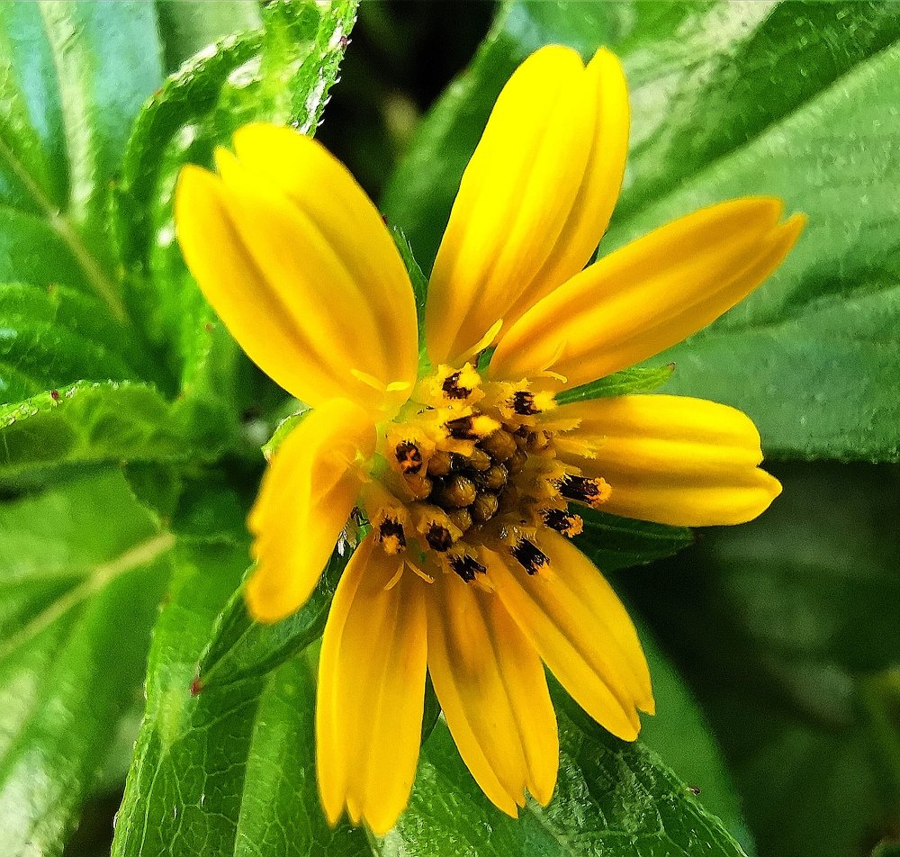 Photograph by Kriti Aggarwal