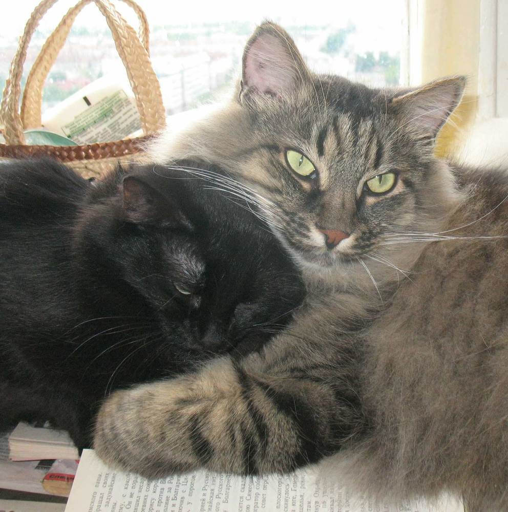 Photograph by Леся Дмітрук