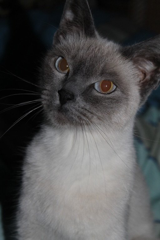 Photograph by Ольга Корешкова