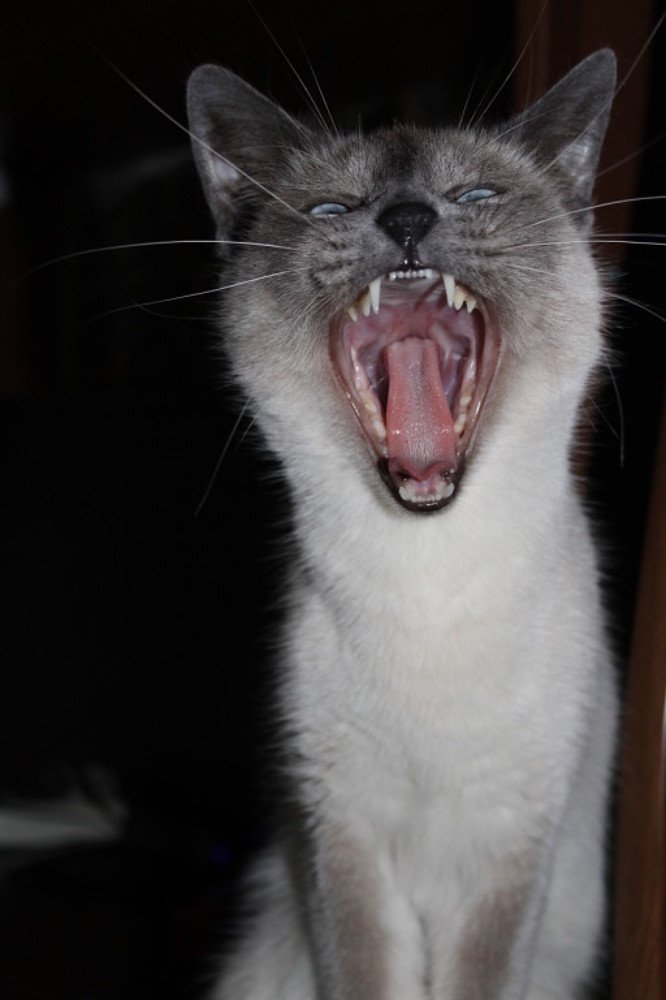 Photograph by Ольга Корешкова