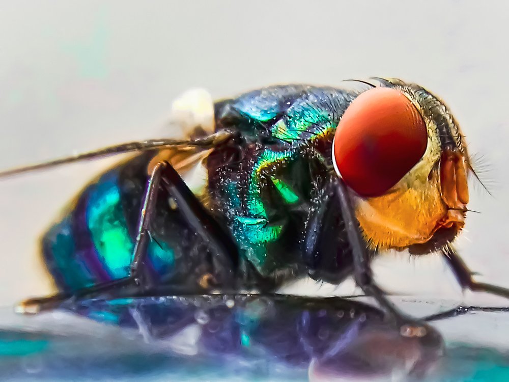 Photograph by MALLIKARJUN Manjari
