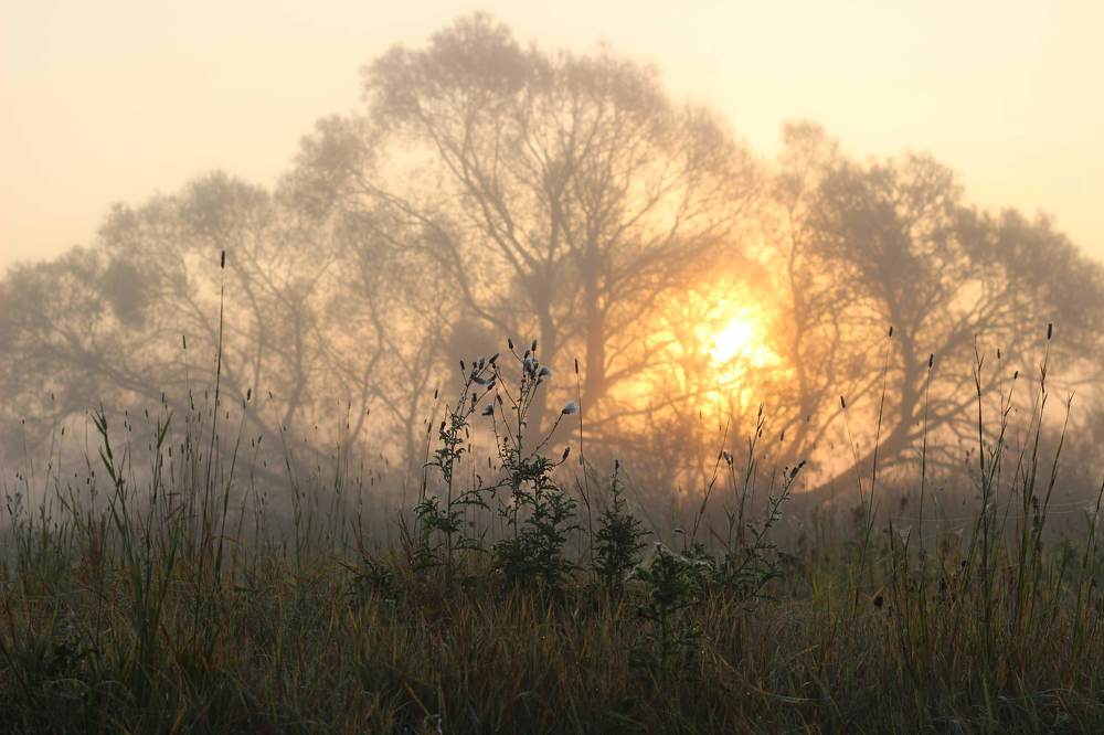 Photograph by Леся Дмітрук