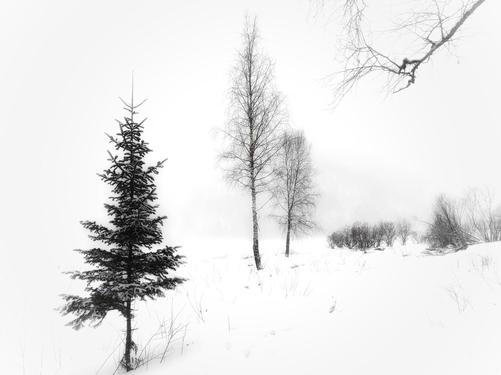 Photograph by Ирина Секачева