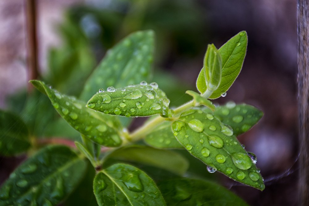 Photograph by Kostas Rammos