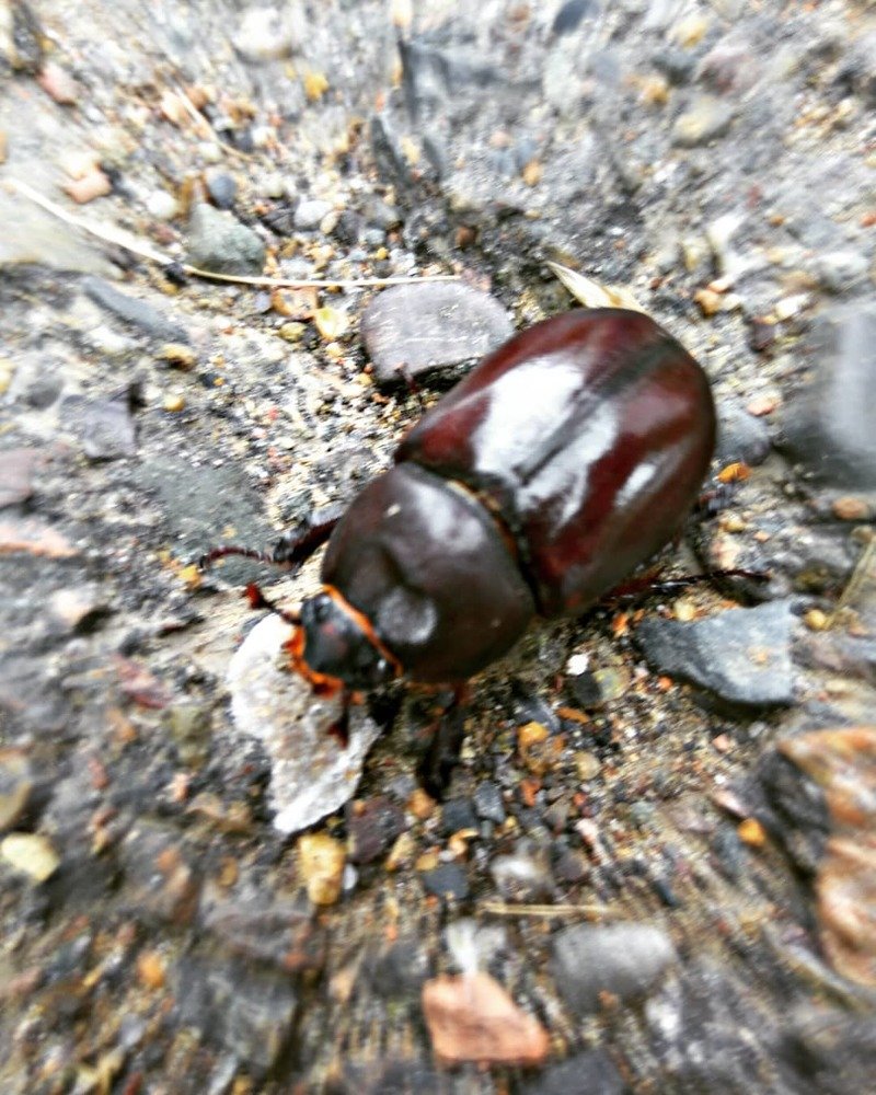 Photograph by Вадим Басов