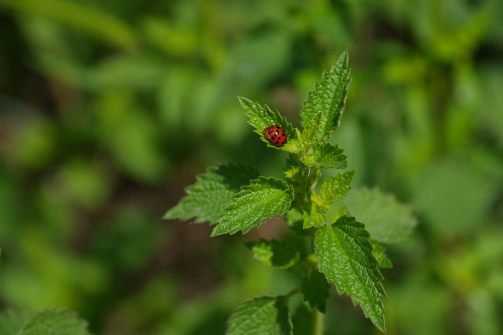 Photograph by 