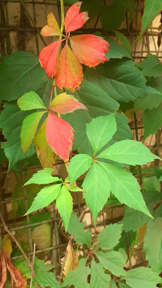 Photograph by Любовь Макарова