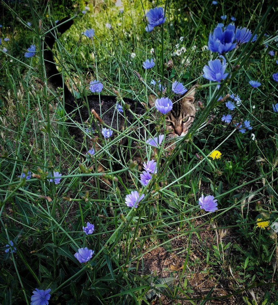 Photograph by Юлия Демяник