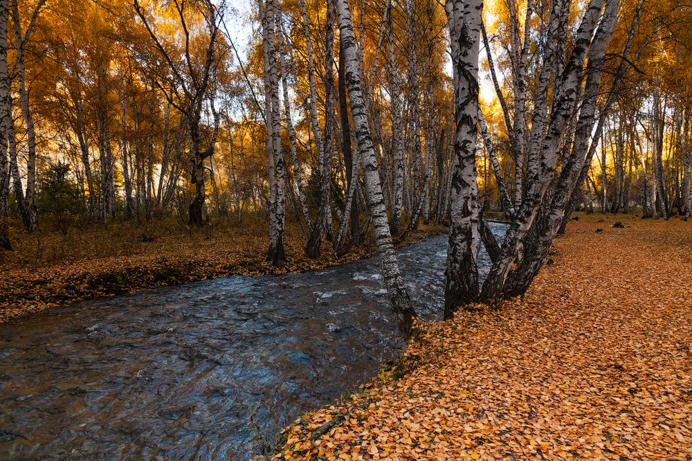Photograph by Евгения Смолякова