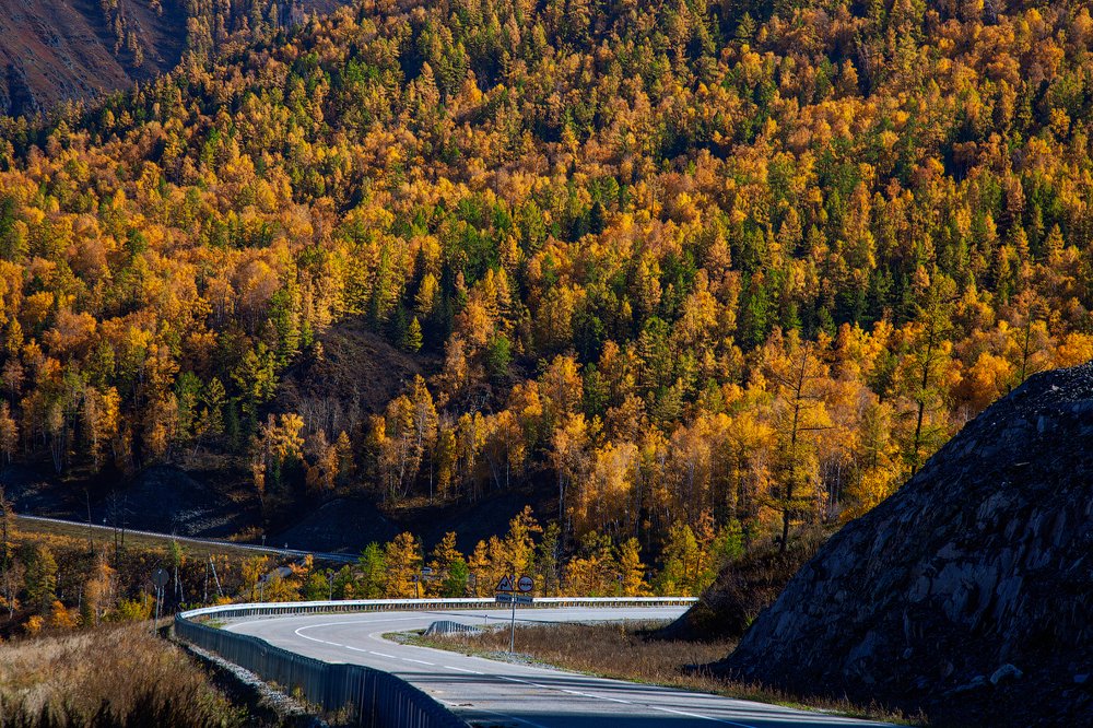 Photograph by Евгения Смолякова