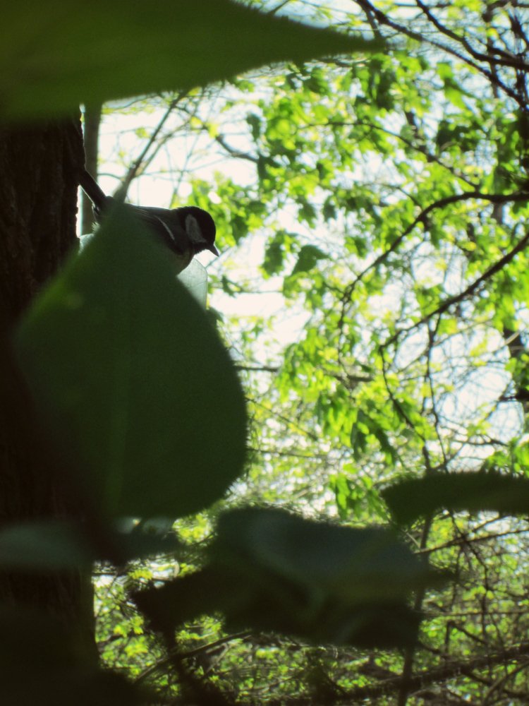 Photograph by Юлия Демяник