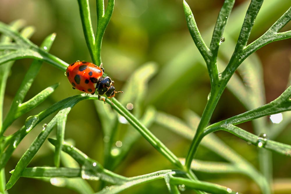 Photograph by Владимир Малевич