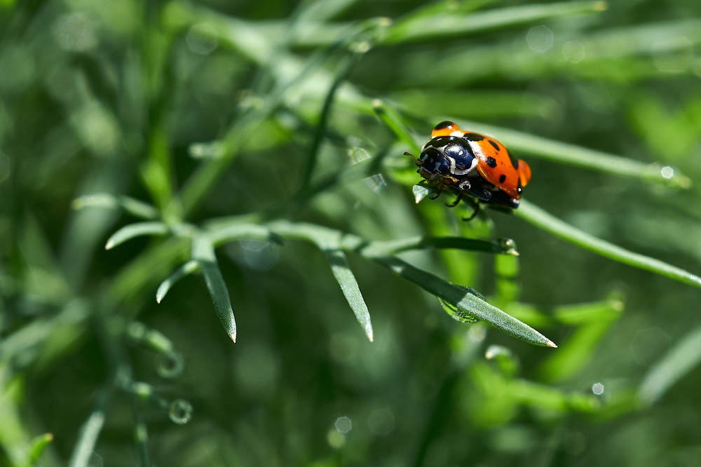 Photograph by Владимир Малевич
