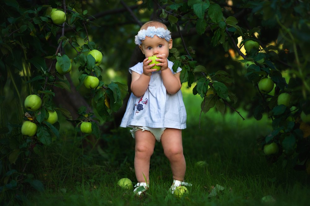 Photograph by Александр Шульга