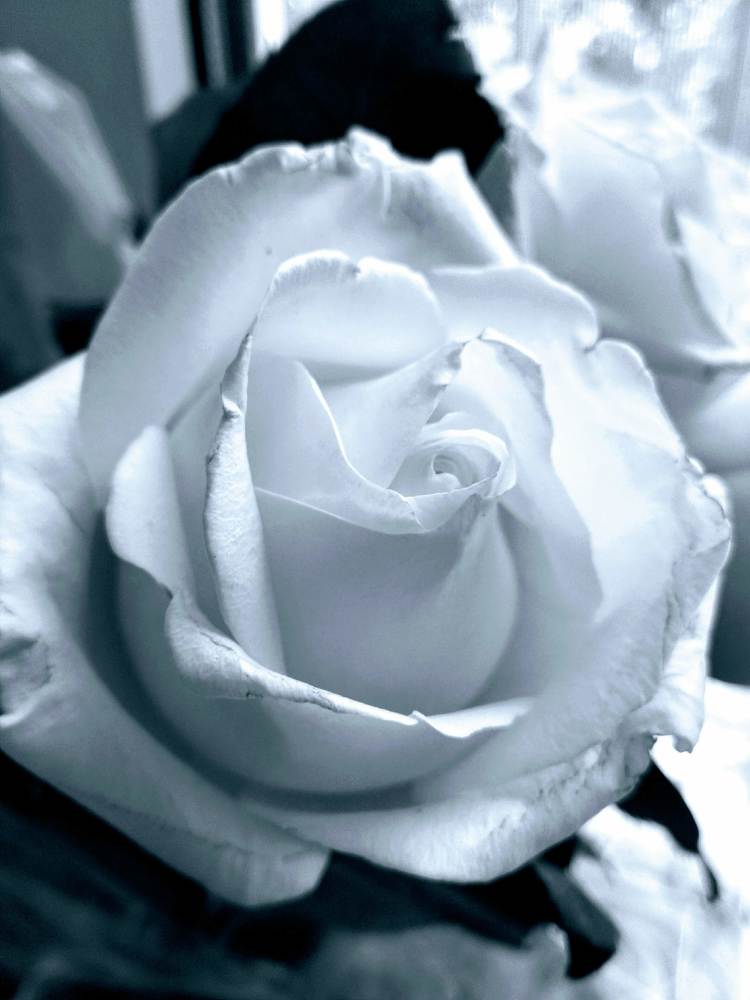 Photograph by Виктория Федосеенко