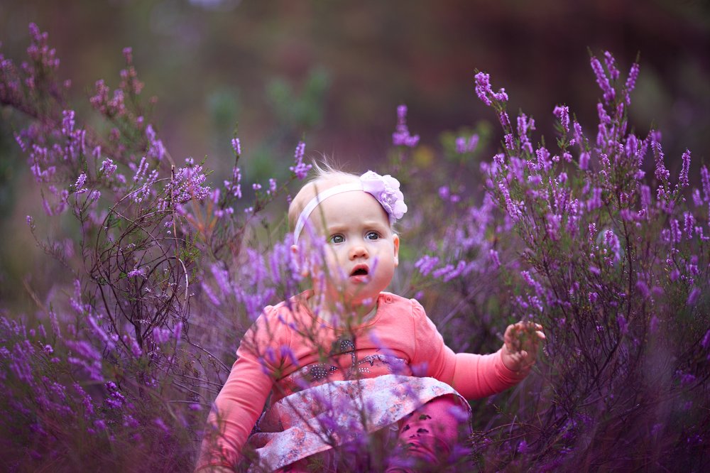 Photograph by Александр Шульга