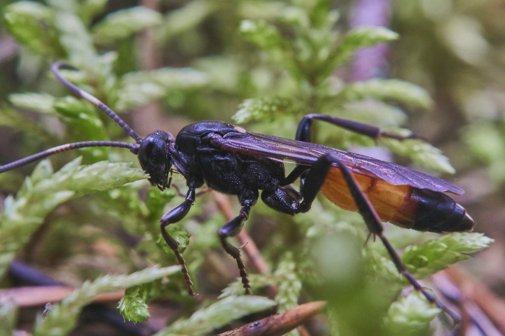Photograph by Алексей Приешкин