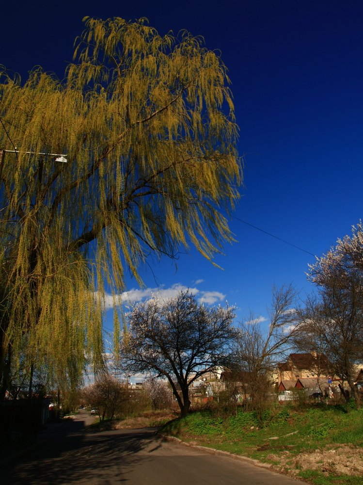 Фотография автора Евгений