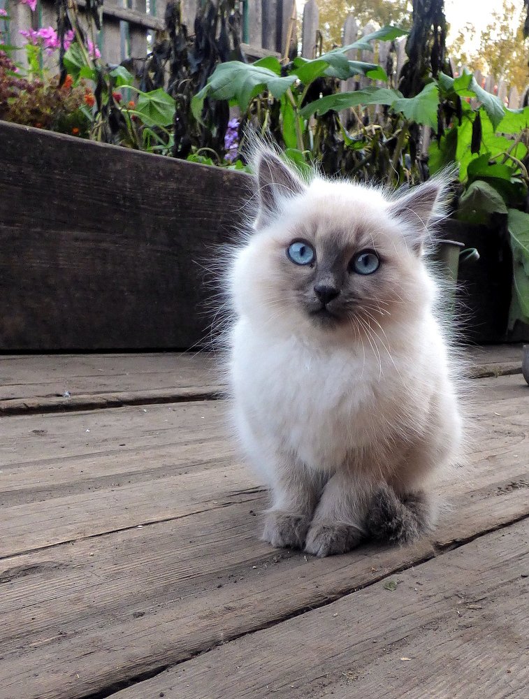 Photograph by Pjotr Alekseev