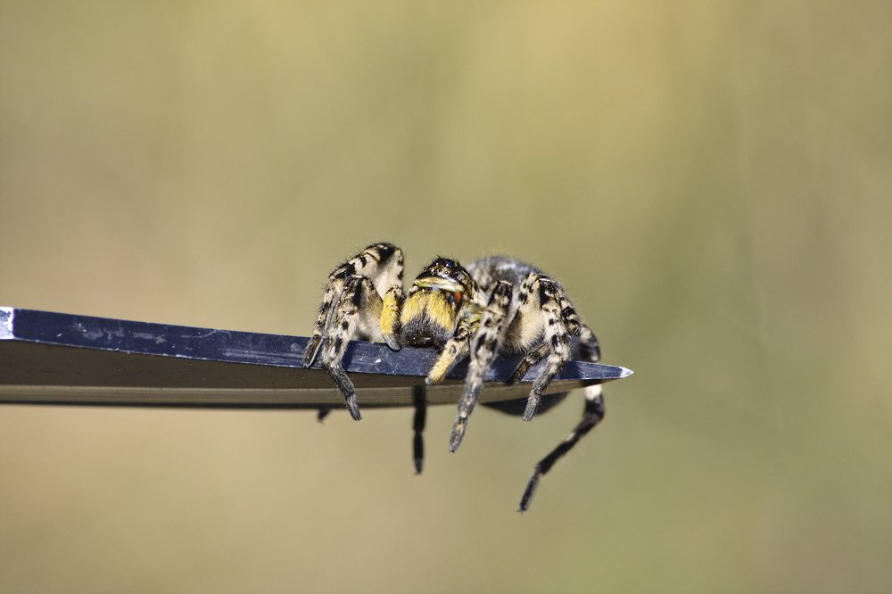 Фотография автора Евгений