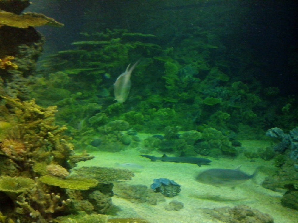 Photograph by Юрий Солодовников