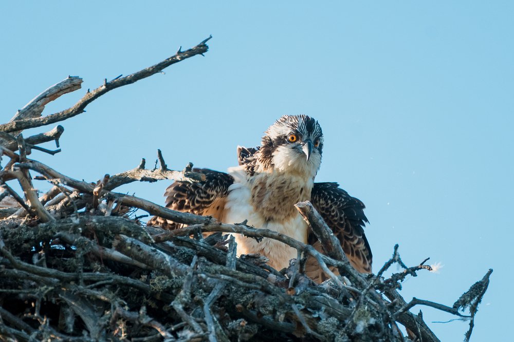 Photograph by Михаил Егоров