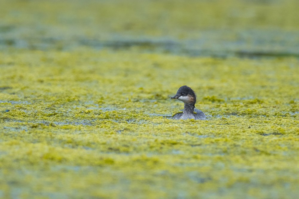 Photograph by Михаил Егоров